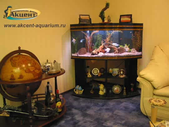 Акцент-аквариум,аквариум 260 литров с гнутым передним стеклом